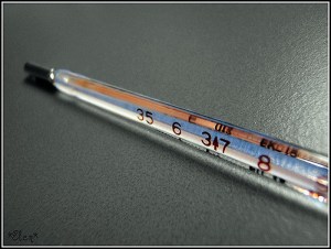 2641884936_bddd9386ea_z