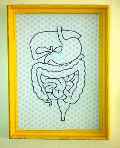 667aa-6075999645_1e49e7035f_z