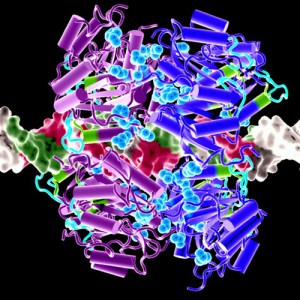 9edfc-8166894992_9eb009cac6_o