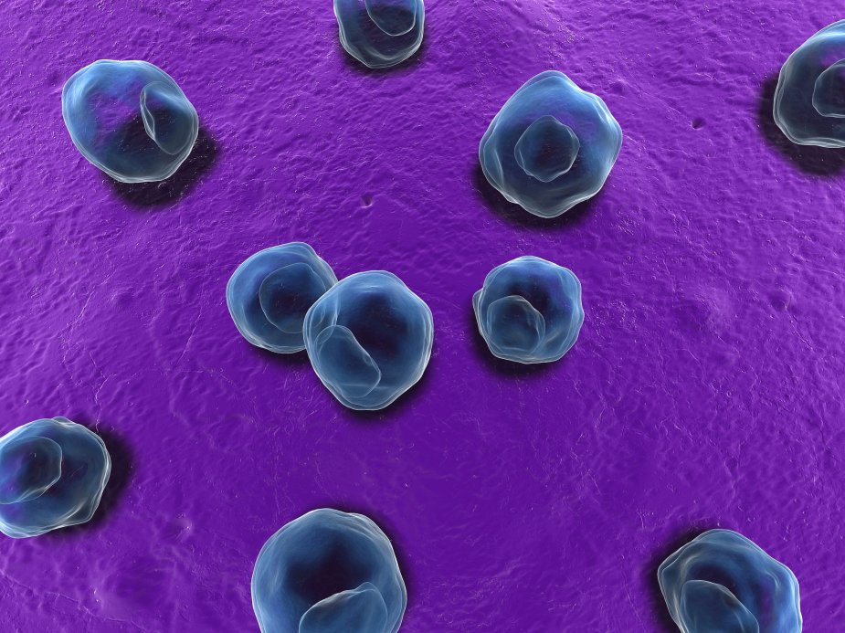 35902442820_Donq question