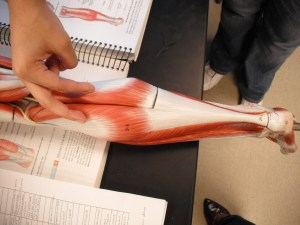 5639072708_71dce931a3_o